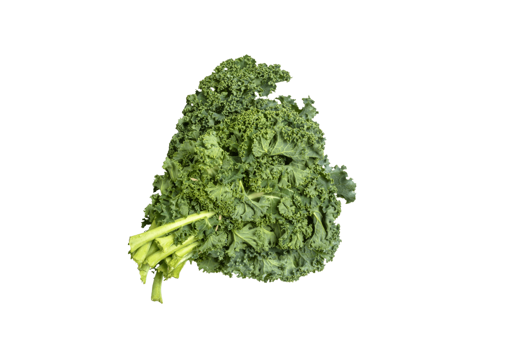 Kale — ingredient in Primaldew Original