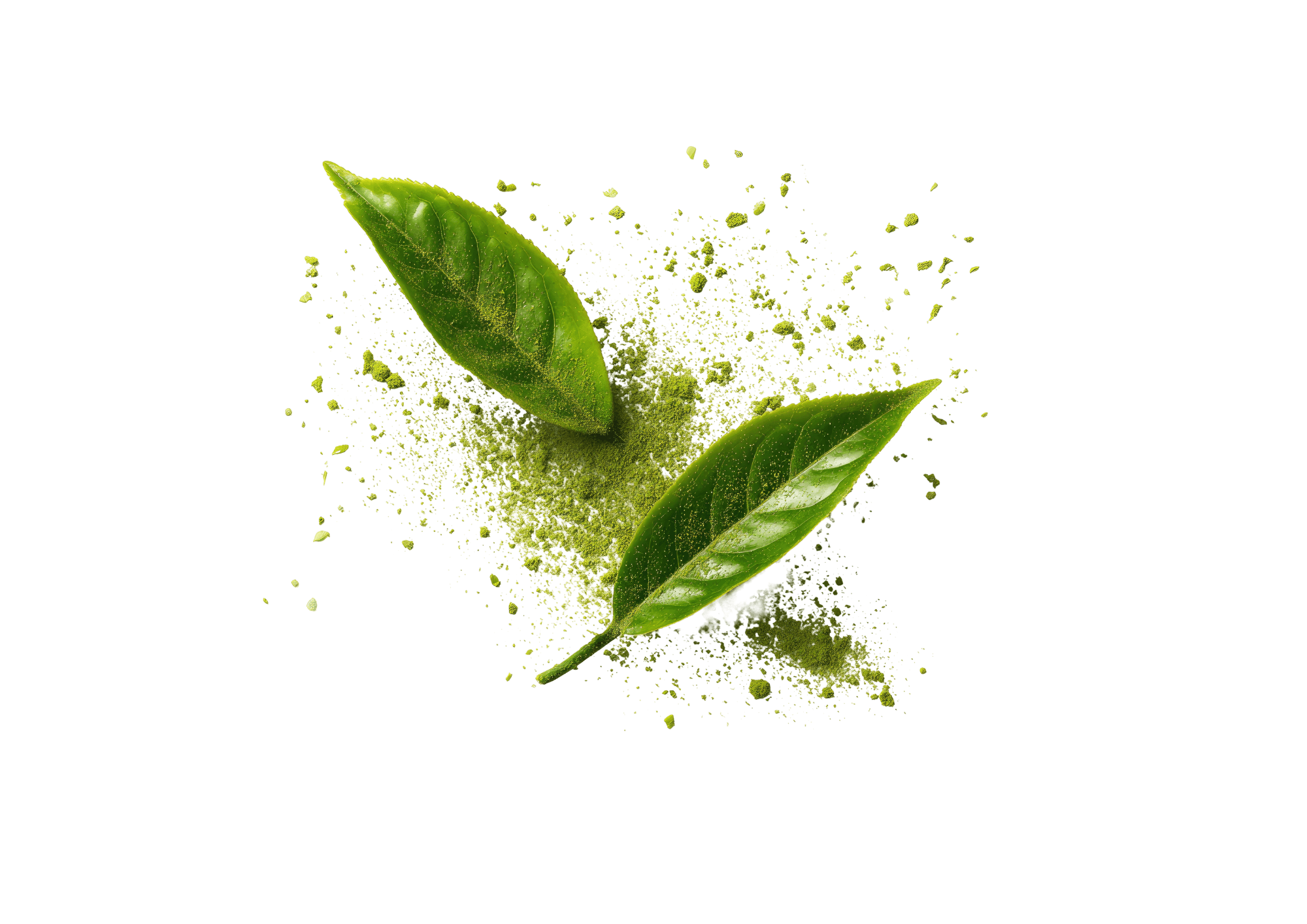 Ceremonial Matcha — ingredient in Primaldew Original